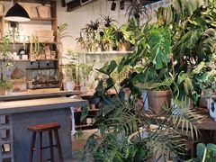 -自由生长植物工作室(深港花卉中心店)