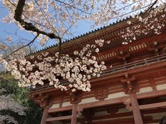 -醍醐寺