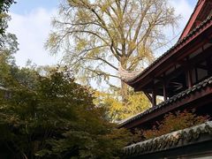 -成都杜甫草堂博物馆