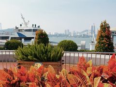-鼓浪屿内厝澳码头(轮渡站)
