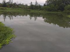 -桤木河湿地公园