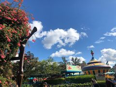 -奥兰多迪士尼动物王国乐园