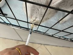-半岛宠物医院24小时(科华中路店)