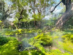 -Chom Cafe and Restaurant