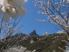 -高岚大峡谷旅游度假区