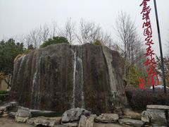 -合肥滨湖国家森林公园