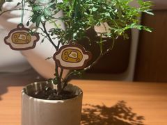 -CURRY YA 熟成咖哩專門店(深圳湾万象城店)