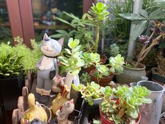 -IFIF 如果花園(宽厚里店)