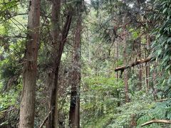 -公盂村