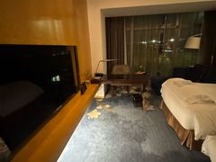 -广州白云机场雅高铂尔曼大酒店