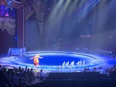 -珠海横琴长隆《卡卡虎奇遇记》