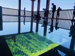 -少华山国家森林公园
