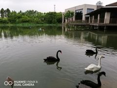 -上海怡沁园度假酒店