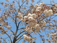 -羊亭河湿地公园