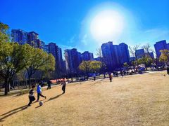 -新江湾城公园