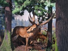 -陕西自然博物馆