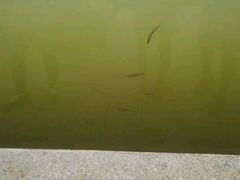 android_upload_pic-红莲湖