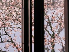 -耦园