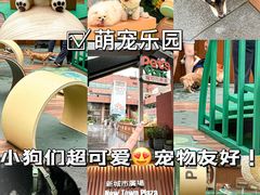 -新城市广场