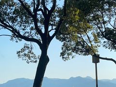 -东钱湖小普陀景区