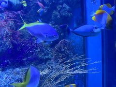-鹿儿岛水族馆