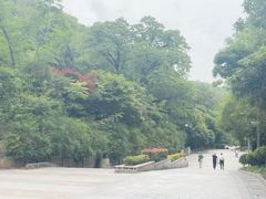 -云碧峰国家森林公园