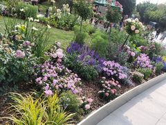 -深圳国际园林花卉博览园