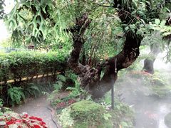 -Chom Cafe and Restaurant