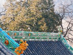 -窦大夫祠