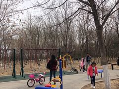 -大兴滨河森林公园