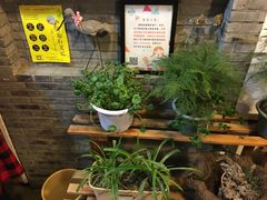 -狐狸家·酸奶酪专门店(平江路店)