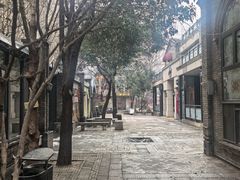 -绿地·中山里