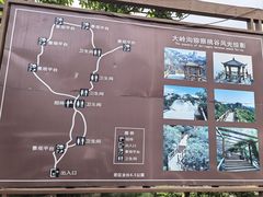 -大岭沟猕猴桃谷风景区