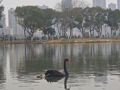 -武汉动物园