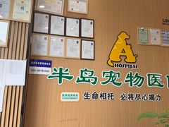 -半岛宠物医院24小时·内窥镜·牙科·碎石中心(府城大道店)