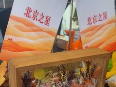 -北京之星奔驰4S店(亦庄店)