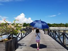 -邦邦岛