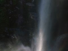 -莫里热带雨林景区