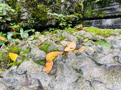 -梭布垭石林景区