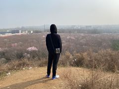 -明秦王墓遗址