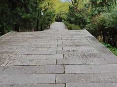 -黄帝陵