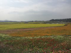 -光明小镇欢乐田园