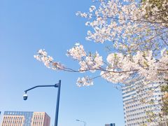 -杭州城北体育公园