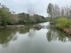 -溱湖国家湿地公园