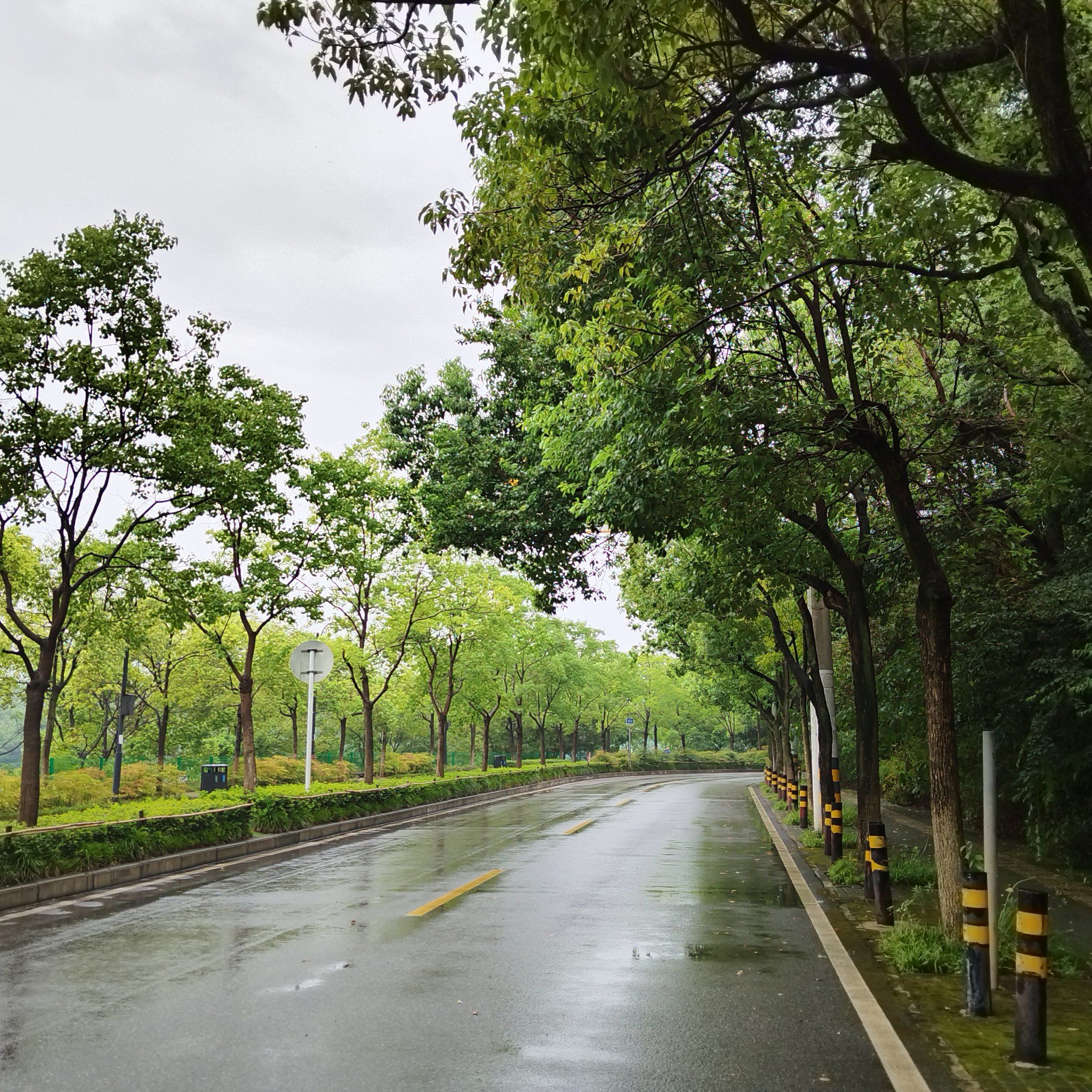 清新雨后空气