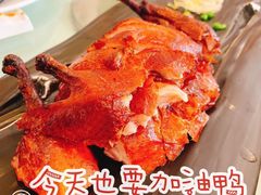-圆苑(上海广场店)
