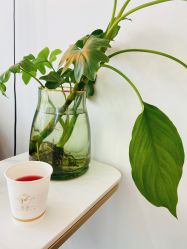 -柒朵科技美肤中心
