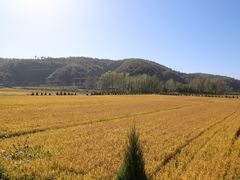 -南泥湾风景区
