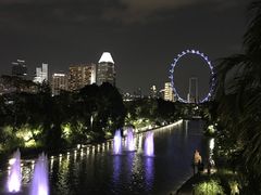 -新加坡摩天观景轮