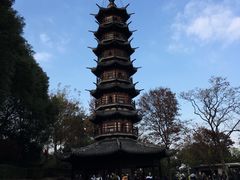 -上海佘山国家森林公园西佘山园